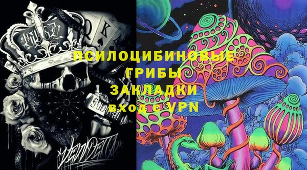 прущий лед Алзамай